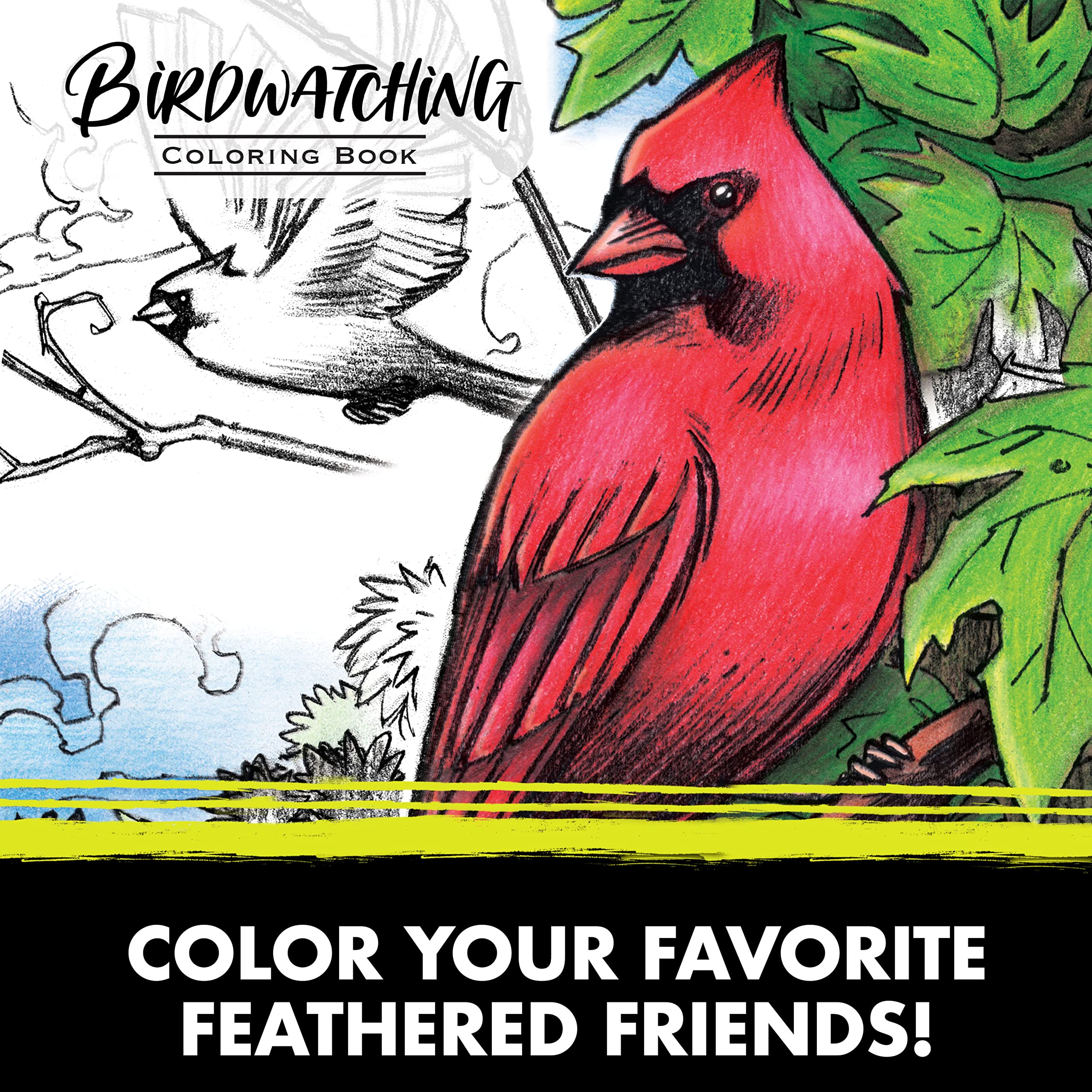 Foto 3 | Libro Para Colorear Crayola Bird, 40 Págs. Para Adultos, 21,6 X 25,4 Cm, Perforado - Venta Internacional.