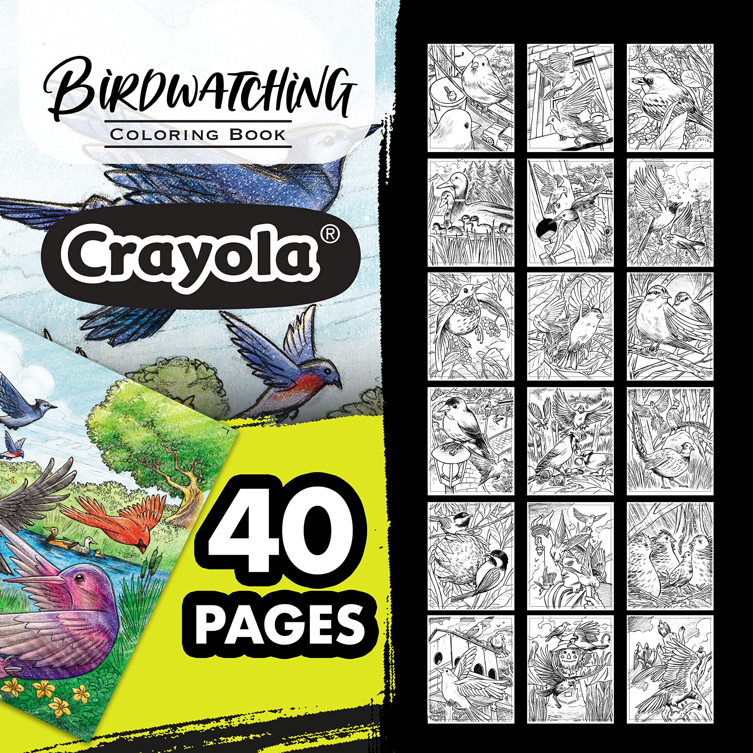 Foto 4 | Libro Para Colorear Crayola Bird, 40 Págs. Para Adultos, 21,6 X 25,4 Cm, Perforado - Venta Internacional.