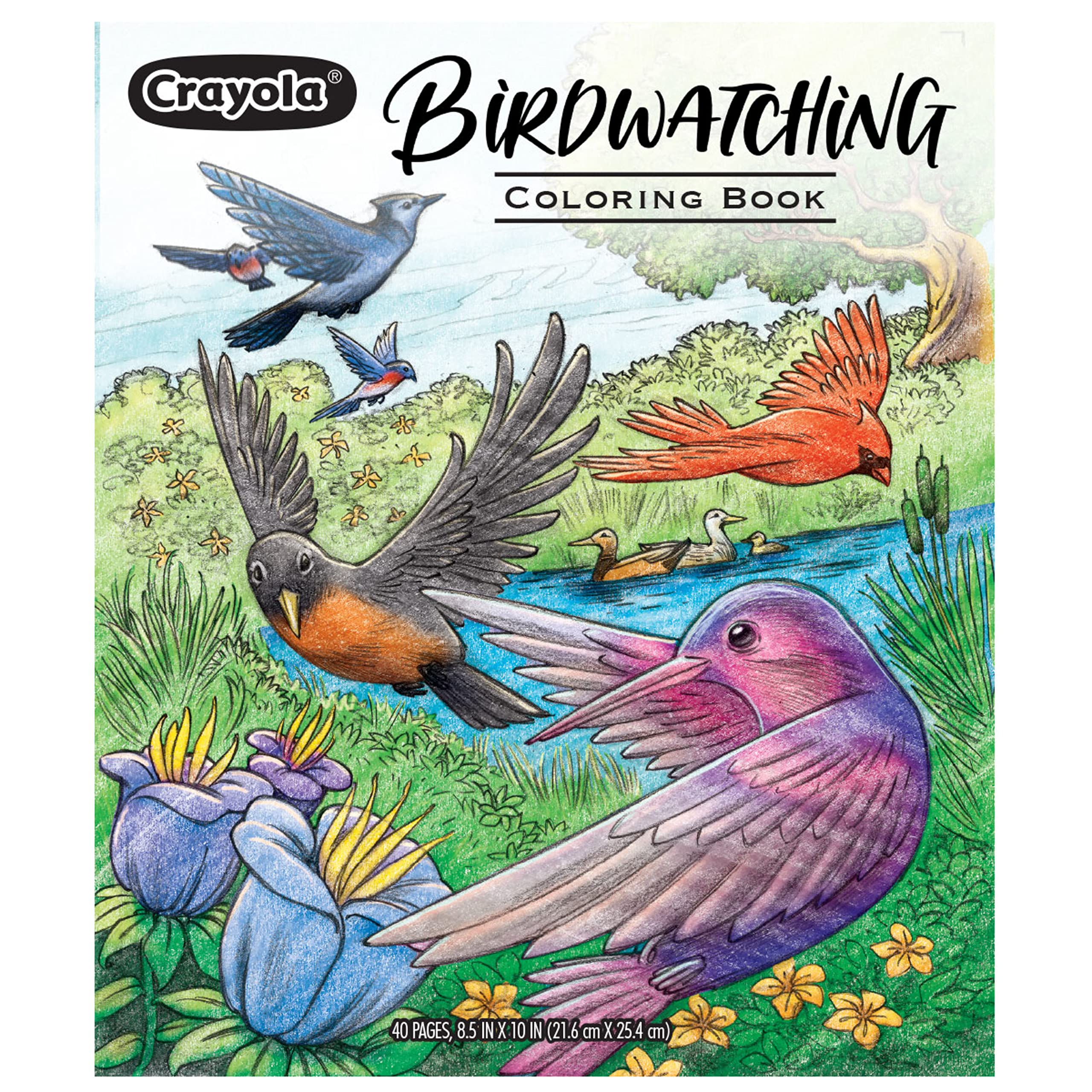 Foto 5 | Libro Para Colorear Crayola Bird, 40 Págs. Para Adultos, 21,6 X 25,4 Cm, Perforado - Venta Internacional.