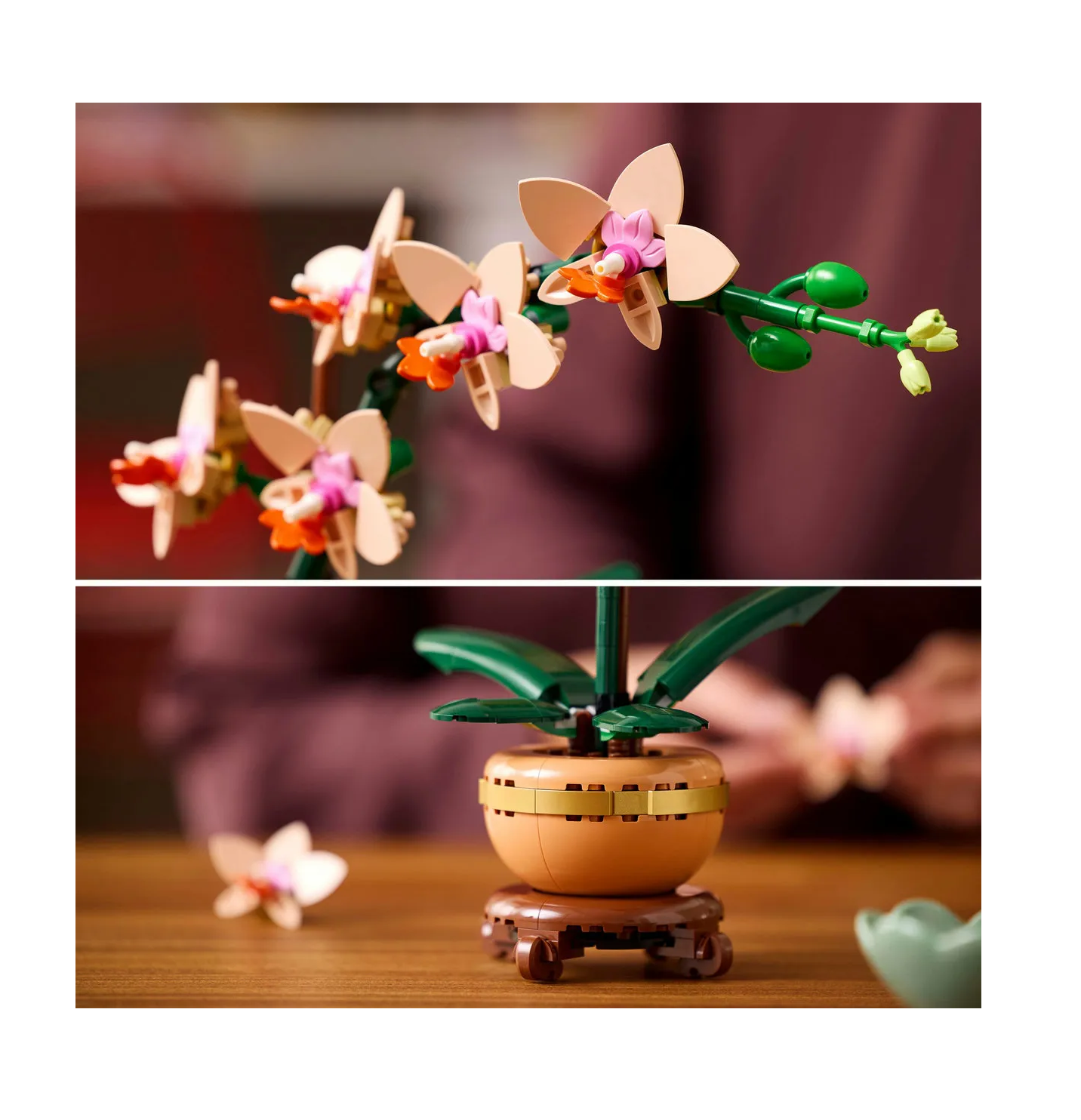 Foto 6 pulgar | Set De Construcción Mini Orquídeas 274 Pz Colores
