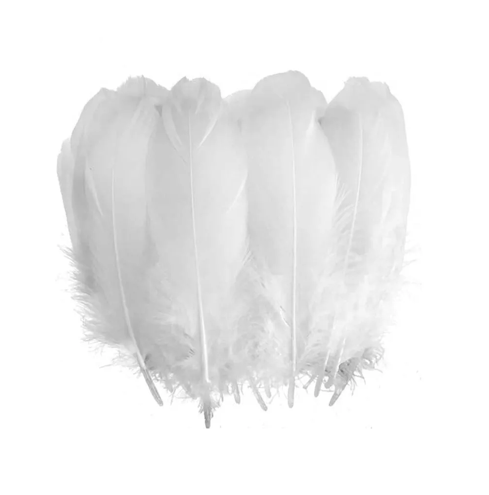 Foto 2 pulgar | 100 Plumas De Ave Ganso Pavo Decorativa Mide Entre 10 Cm A 15 Cm Blanco