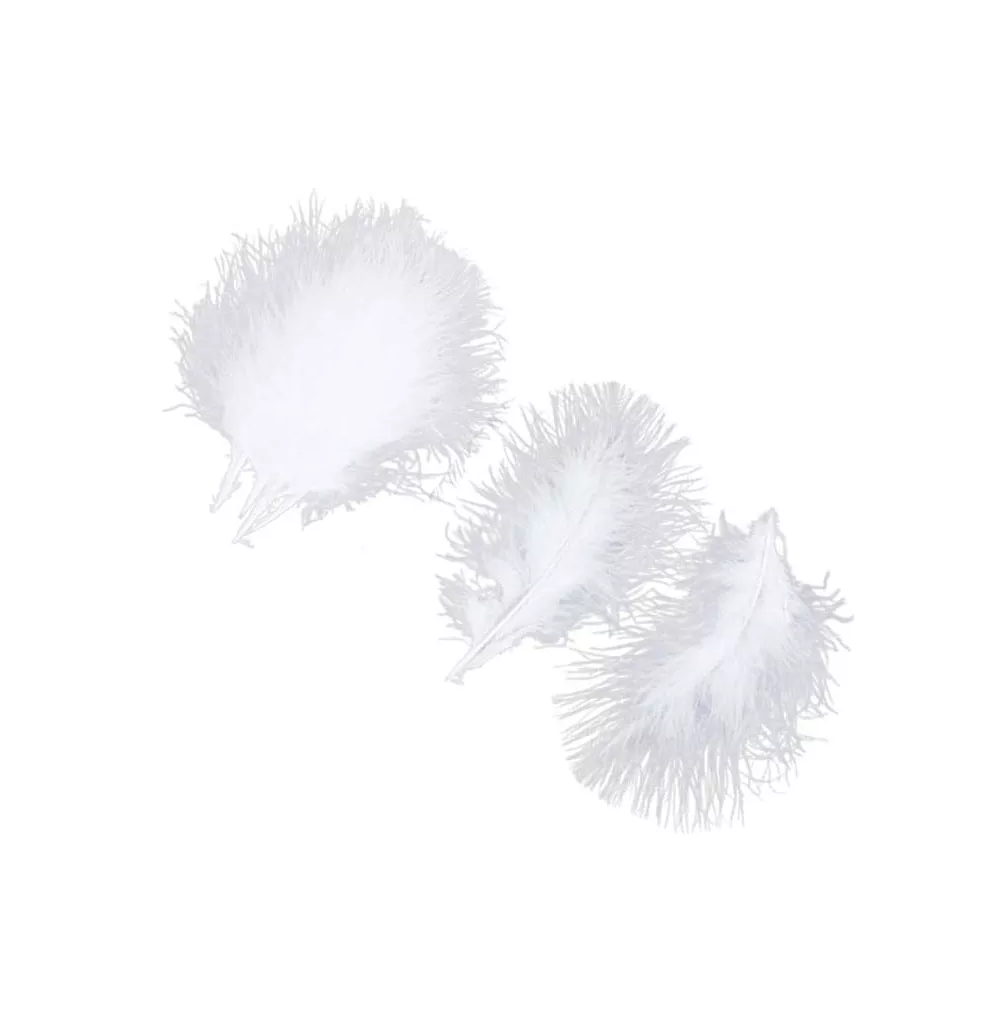 Foto 3 pulgar | 100 Plumas De Ave Ganso Pavo Decorativa Mide Entre 10 Cm A 15 Cm Blanco