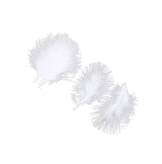 Foto 2 | 100 Plumas De Ave Ganso Pavo Decorativa Mide Entre 10 Cm A 15 Cm Blanco