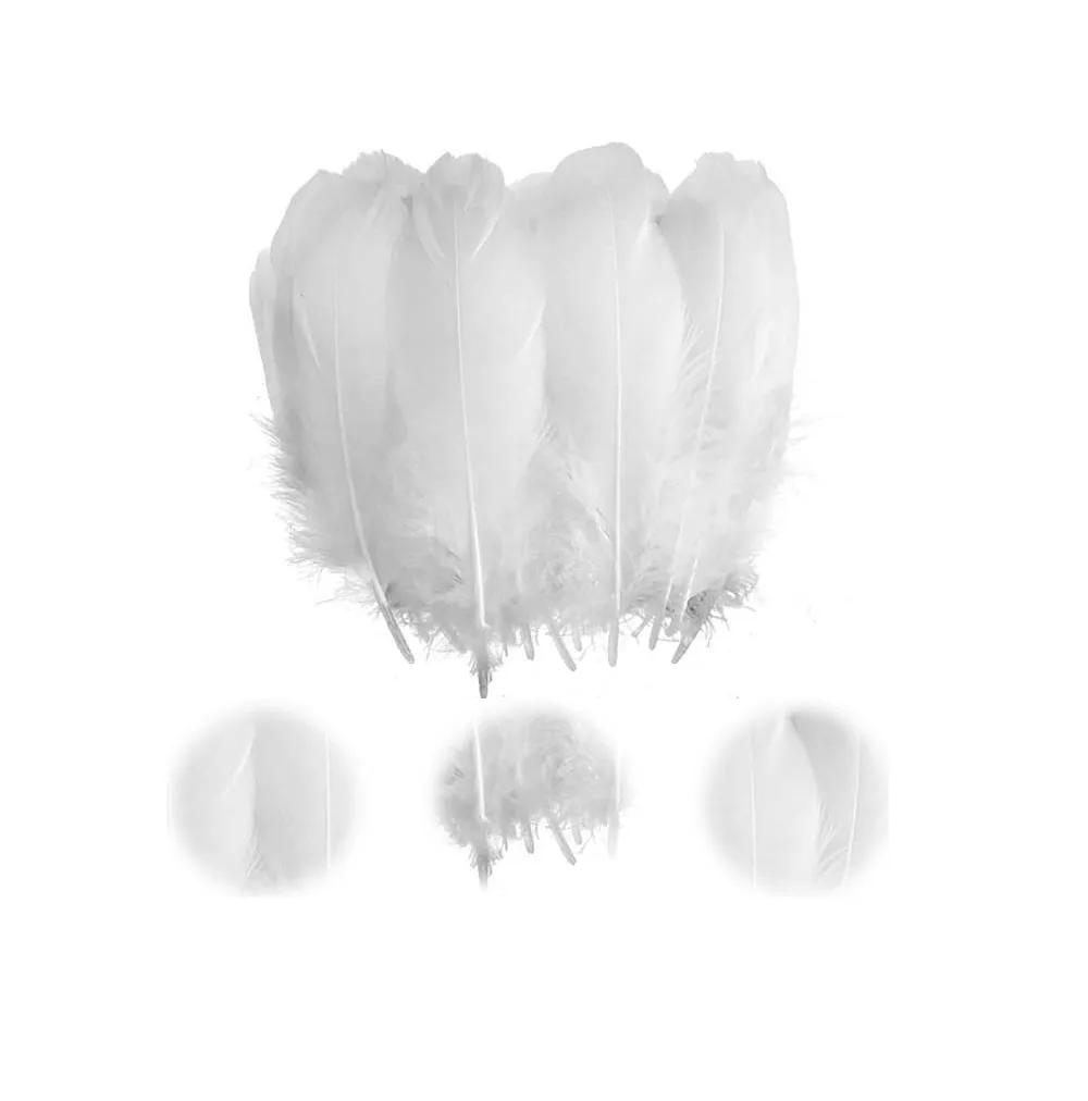 Foto 4 pulgar | 100 Plumas De Ave Ganso Pavo Decorativa Mide Entre 10 Cm A 15 Cm Blanco