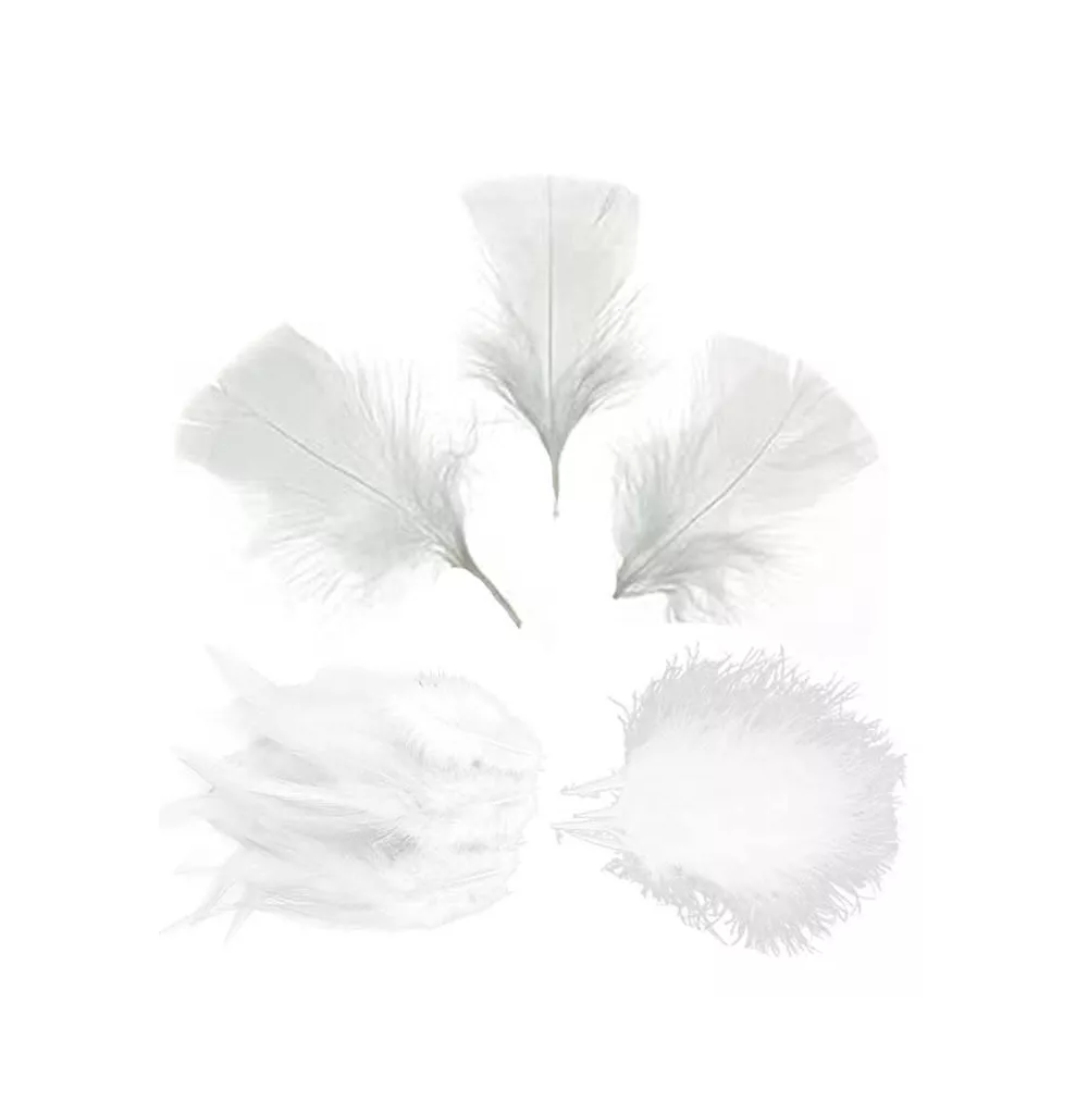 Foto 6 pulgar | 100 Plumas De Ave Ganso Pavo Decorativa Mide Entre 10 Cm A 15 Cm Blanco