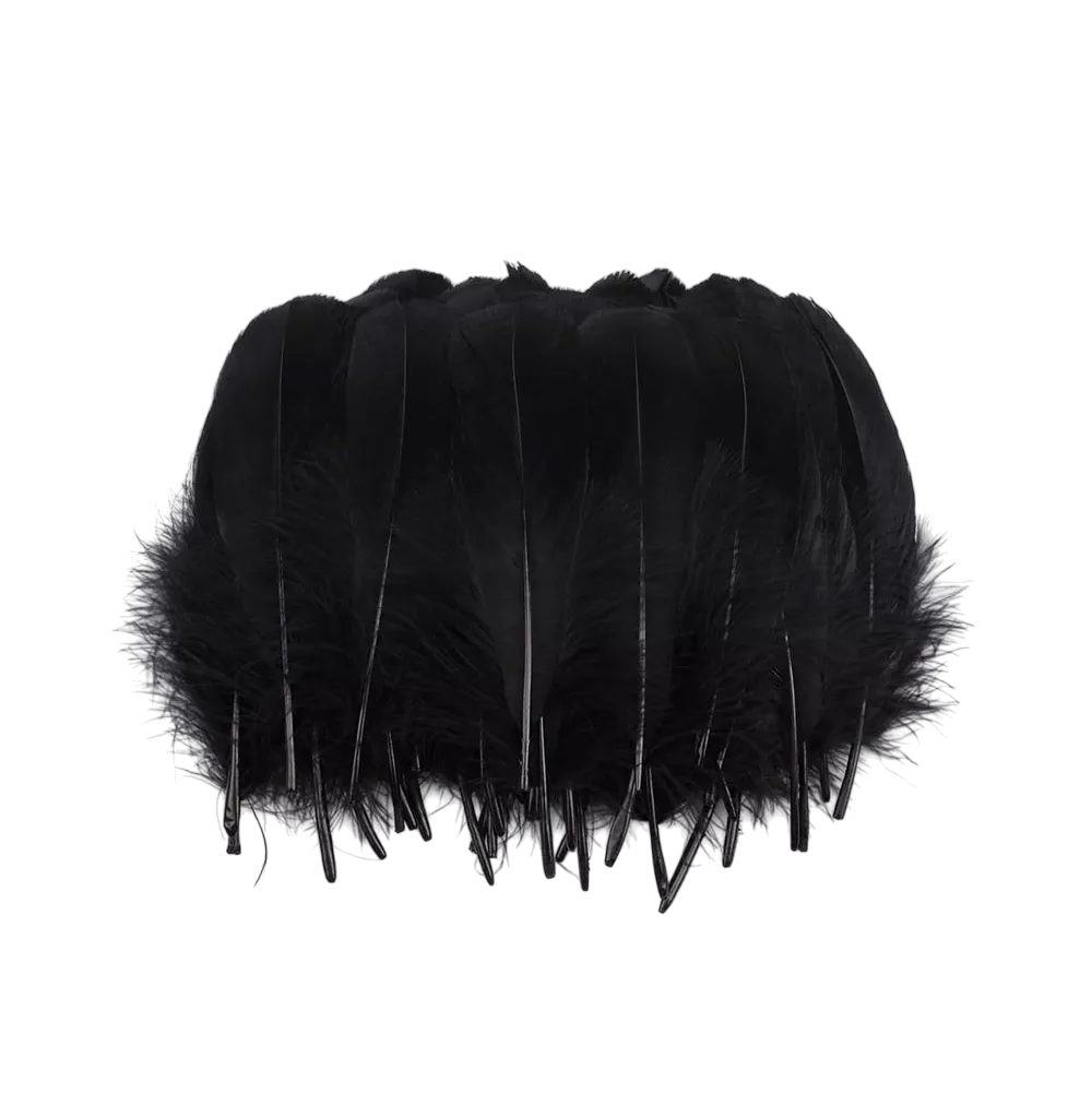 Foto 2 pulgar | 100 Plumas De Ave Ganso Pavo Decorativa Mide Entre 10 Cm A 15 Cm Negro