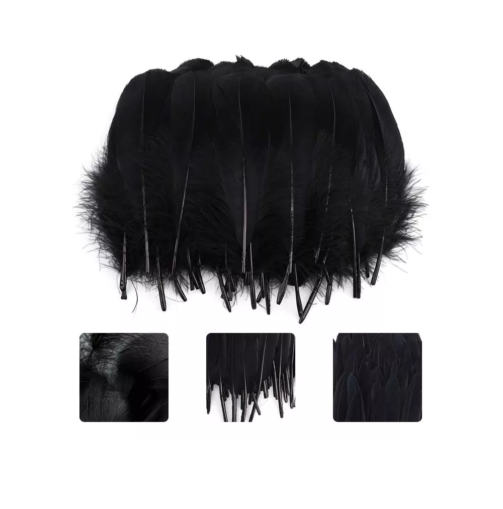 Foto 4 pulgar | 100 Plumas De Ave Ganso Pavo Decorativa Mide Entre 10 Cm A 15 Cm Negro