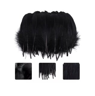 Foto 3 | 100 Plumas De Ave Ganso Pavo Decorativa Mide Entre 10 Cm A 15 Cm Negro