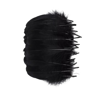 Foto 5 | 100 Plumas De Ave Ganso Pavo Decorativa Mide Entre 10 Cm A 15 Cm Negro