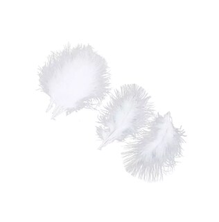 Foto 2 | 100 Plumas De Ave Ganso Pavo Decorativa Mide Entre 10 Cm A 15 Cm Blanco