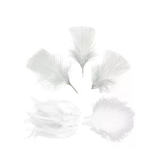Foto 5 | 100 Plumas De Ave Ganso Pavo Decorativa Mide Entre 10 Cm A 15 Cm Blanco
