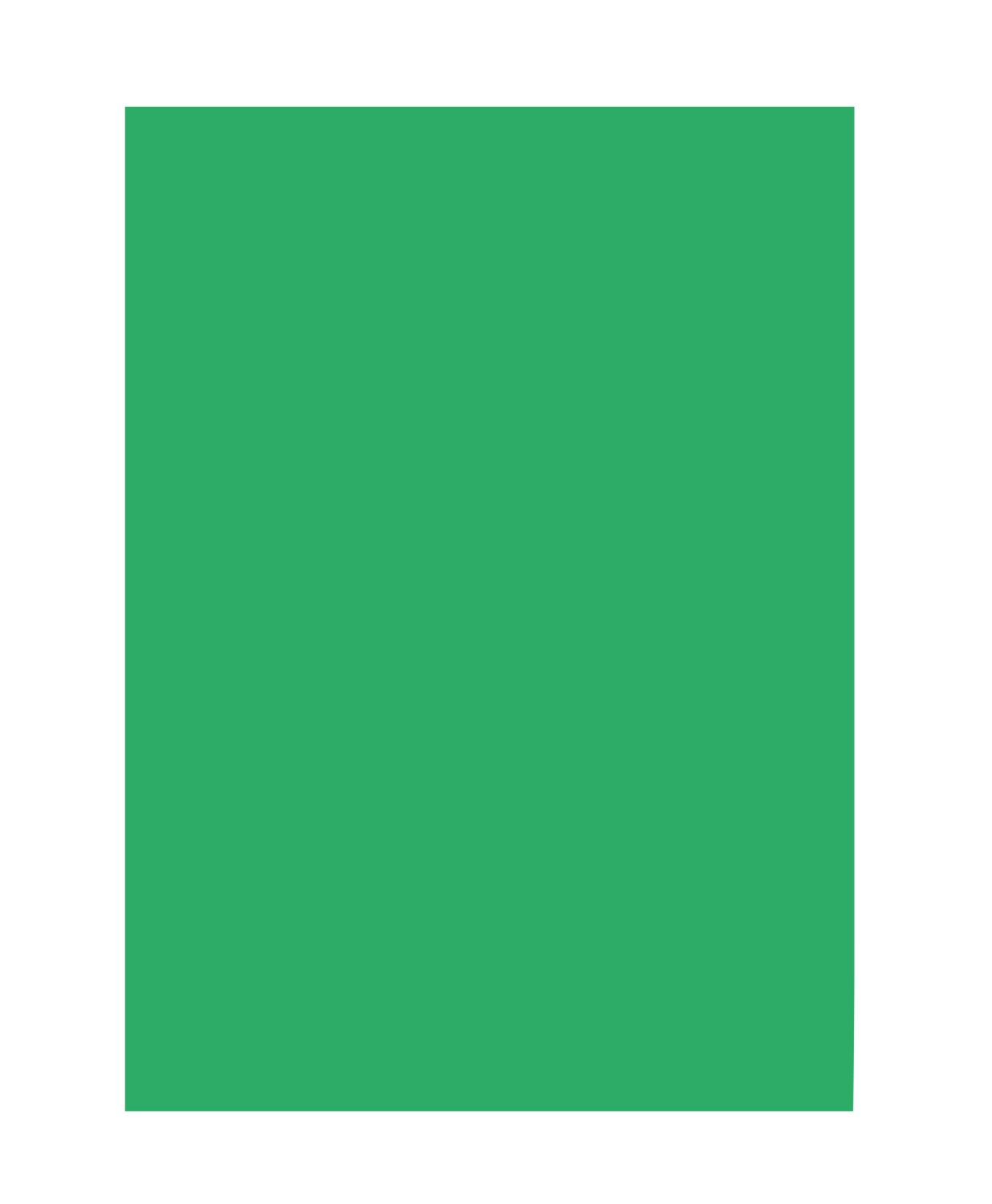 Foto 1 | Papel De Colores Folia 6354, Verde Esmeralda, Din A3, 130 G/m², 50 Hojas - Venta Internacional.