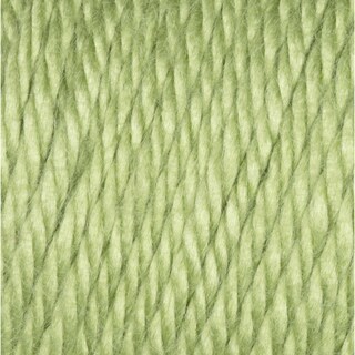 Foto 2 | Colección Simply Soft De Yarn Caron 170 G Acrílico Pistacho - Venta Internacional.
