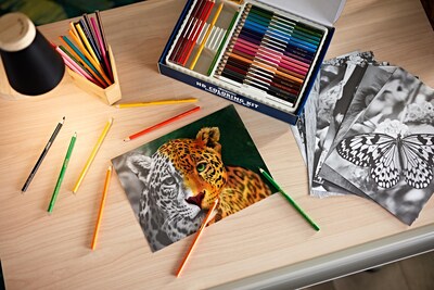 Foto 2 | Kit Para Colorear Crayola Hd Con 30 Lápices De Colores Y 20 Páginas - Venta Internacional.