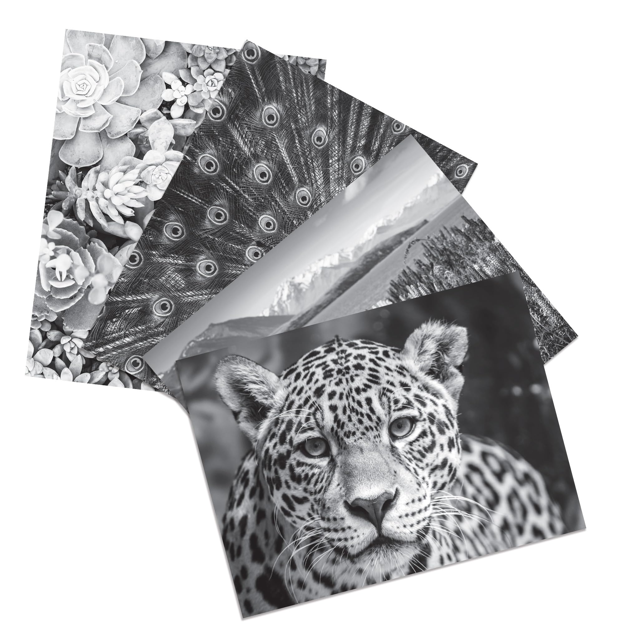 Foto 4 | Kit Para Colorear Crayola Hd Con 30 Lápices De Colores Y 20 Páginas - Venta Internacional.