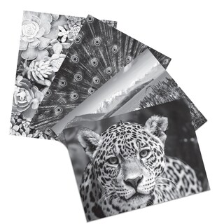 Foto 4 | Kit Para Colorear Crayola Hd Con 30 Lápices De Colores Y 20 Páginas - Venta Internacional.