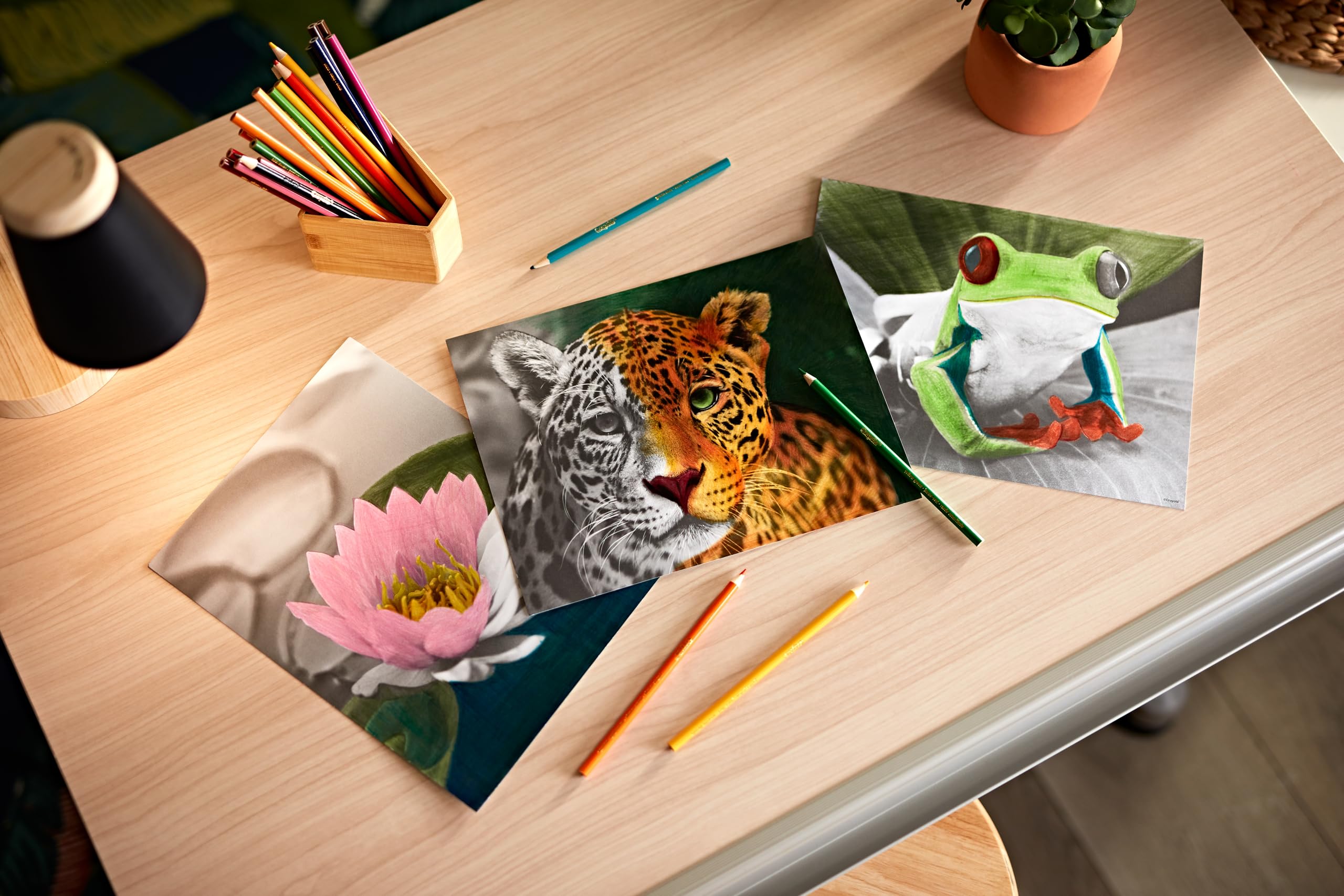 Foto 6 pulgar | Kit Para Colorear Crayola Hd Con 30 Lápices De Colores Y 20 Páginas - Venta Internacional.