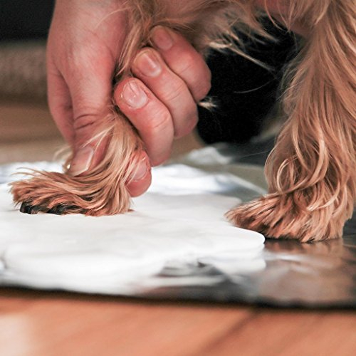 Foto 3 pulgar | Adorno De Recuerdo Con Estampado De Pata De Pera Para Mascotas, Para Colgar, Bricolaje - Venta Internacional.