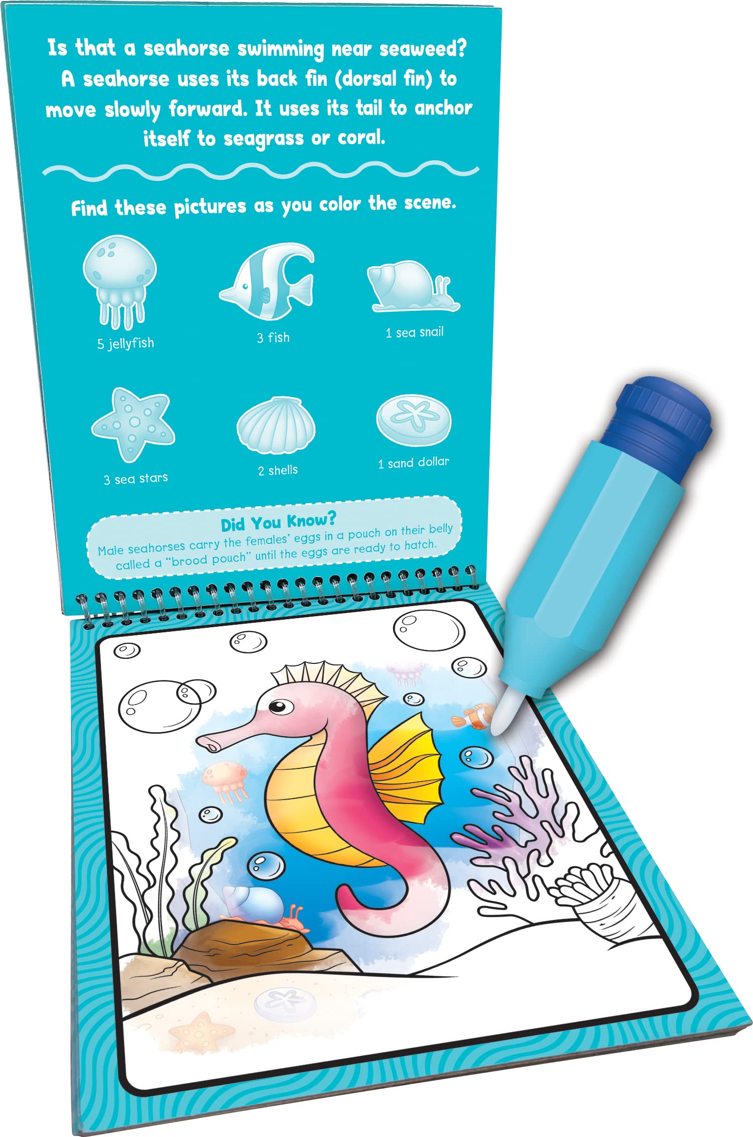 Foto 3 pulgar | Water Reveal Book Created Resources Ocean Life Tcr21000 - Venta Internacional.