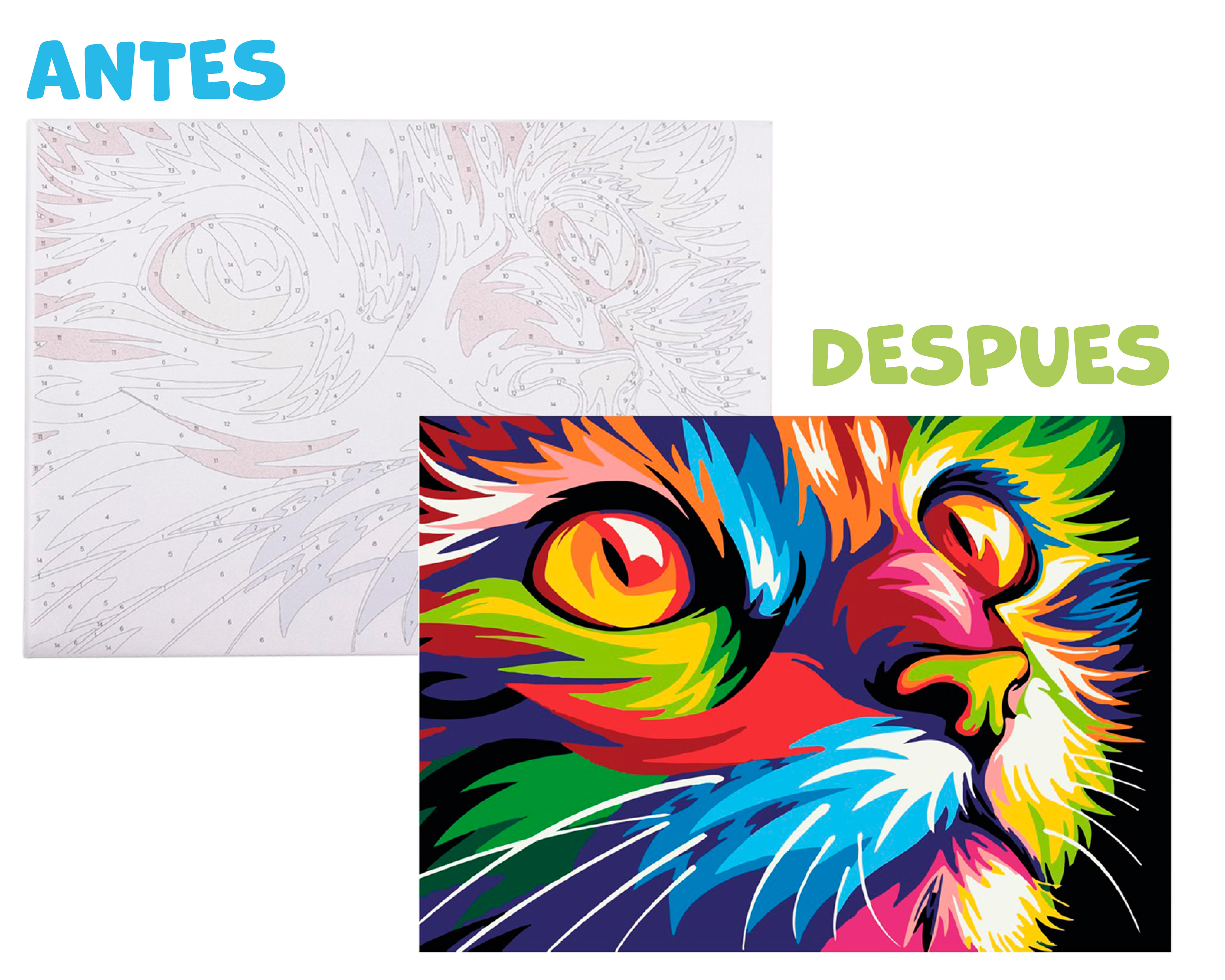 Foto 1 | Pinta Por Número Diako Gato Multicolor Lienzo Y Pinturas Acrílicas