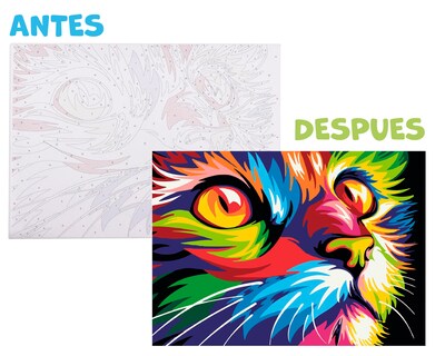 Foto 1 | Pinta Por Número Diako Gato Multicolor Lienzo Y Pinturas Acrílicas
