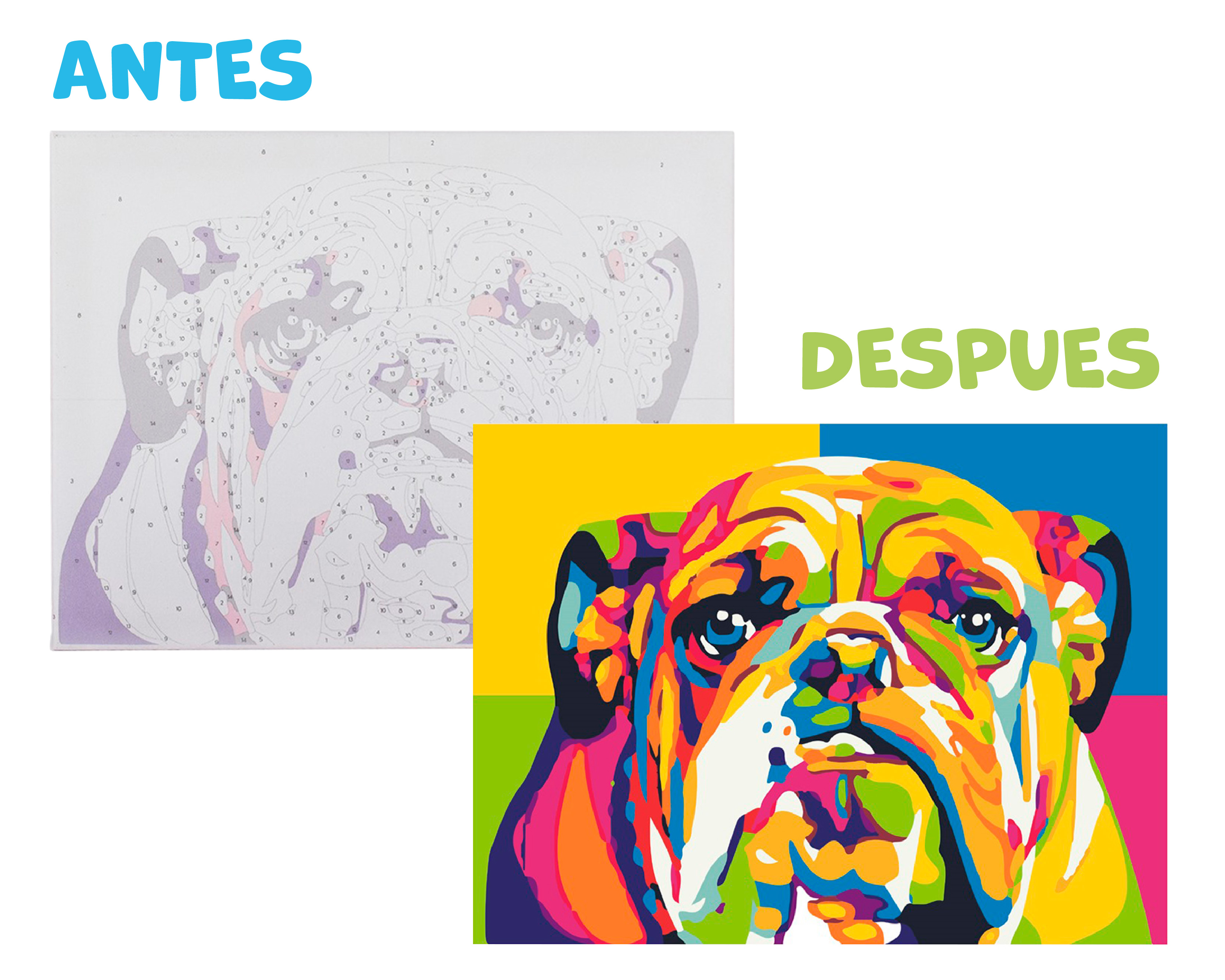 Pinta Por Número Diako Bulldog Multicolor Lienzo Y Pinturas Acrílicas