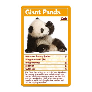 Foto 3 | Juego De Cartas Top Trumps Baby Animals - Venta Internacional.