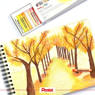 Foto 4 | Pasteles Al Óleo Pentel Arts, 25 Barras, Varios Colores - Venta Internacional.