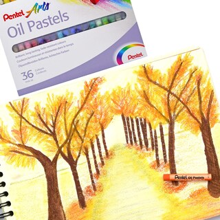 Foto 2 | Set De Pastel Al Óleo Pentel Penphn36 Con Funda De Transporte - Venta Internacional.