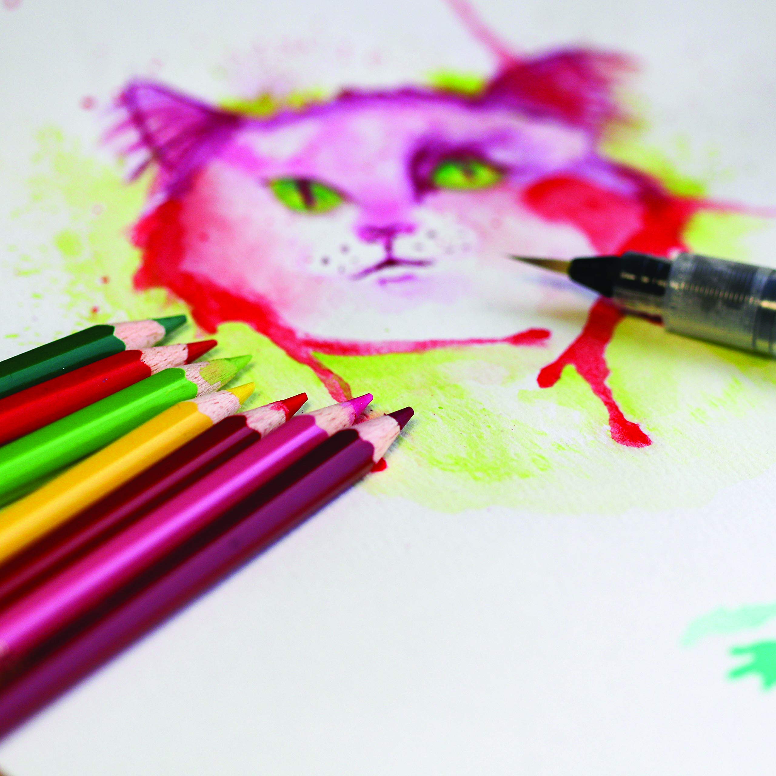 Foto 2 | Set De Lápices De Acuarela Pentel Arts, 24 Colores, Paquete De 1 - Venta Internacional.