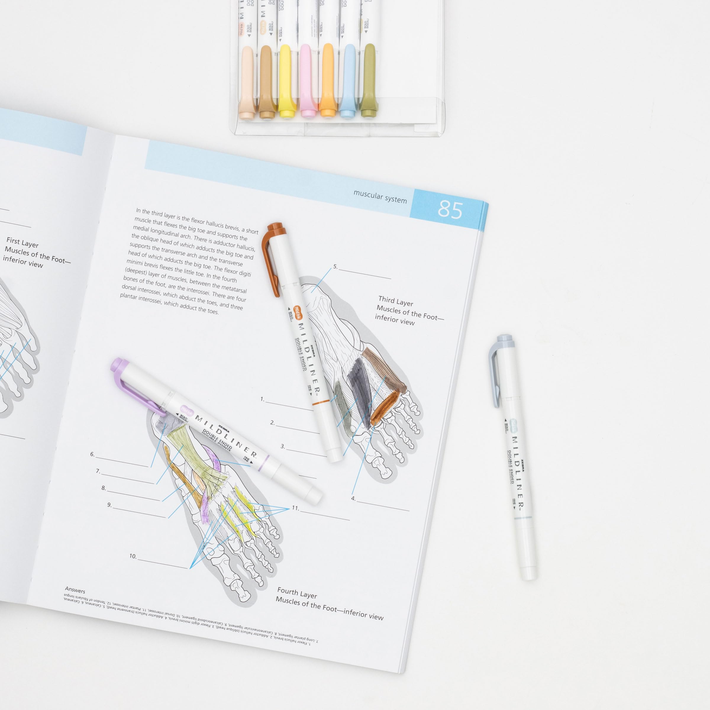 Foto 5 | Set De Iluminadores Zebra Pen Mildliner De Doble Punta, Paquete De 10 - Venta Internacional.