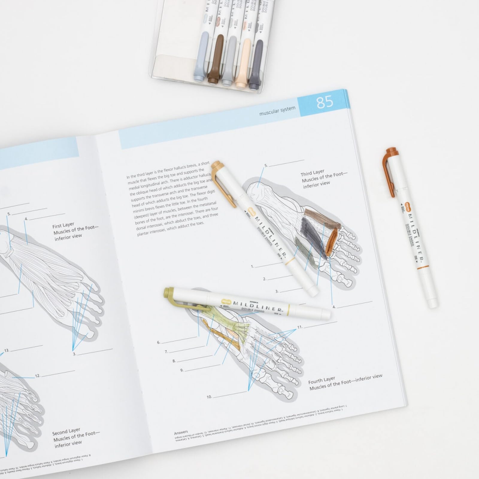 Foto 5 | Set De Iluminadores Zebra Pen Mildliner De Doble Punta, 15 Unidades - Venta Internacional.