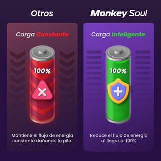 Foto 8 | Cargador Pilas Baterías + 4 Aaa Recargables Monkey Soul Usb-c