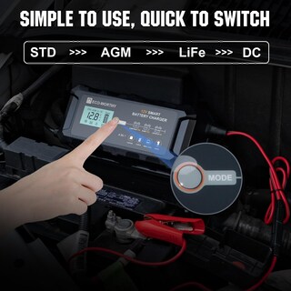 Foto 2 | Cargador De Batería Eco-worthy 10a Lifepo4 12v Para Coche Y Barco - Venta Internacional.