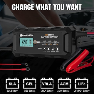 Foto 3 | Cargador De Batería Eco-worthy 10a Lifepo4 12v Para Coche Y Barco - Venta Internacional.