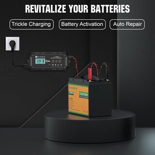 Foto 4 | Cargador De Batería Eco-worthy 10a Lifepo4 12v Para Coche Y Barco - Venta Internacional.
