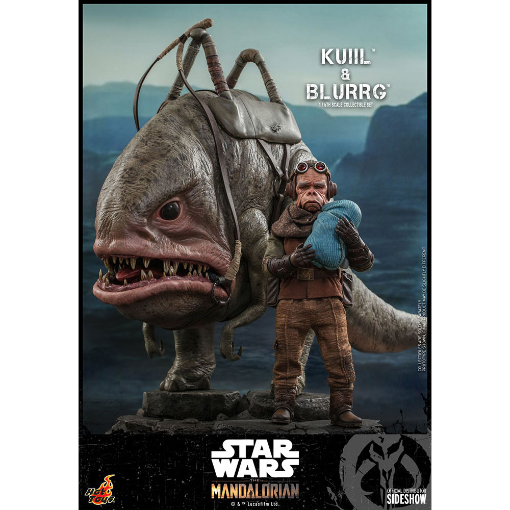 Foto 5 pulgar | Figura Hot Toys 1/6 De Escala Star Wars The Mandalorian: Kuiil & Blurgg