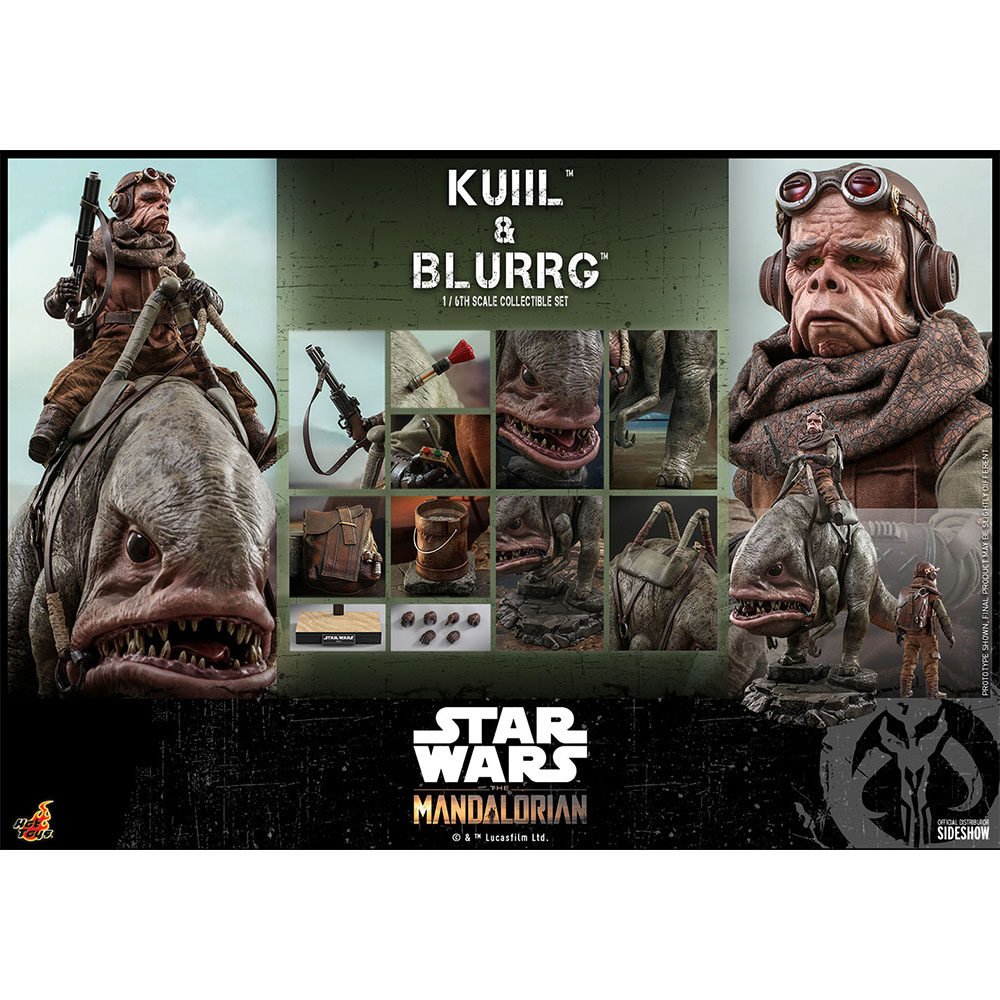 Foto 6 pulgar | Figura Hot Toys 1/6 De Escala Star Wars The Mandalorian: Kuiil & Blurgg