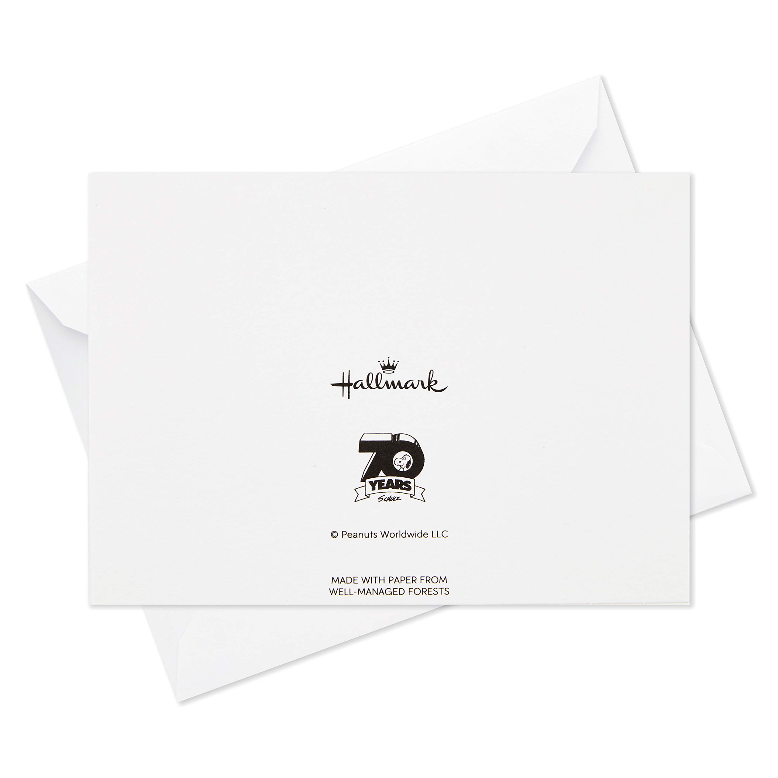 Foto 8 pulgar | Surtido De Tarjetas En Blanco Hallmark Peanuts Para El 70 Aniversario - Venta Internacional.