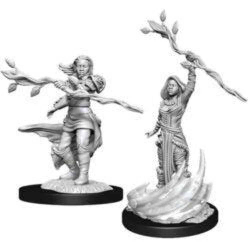 Foto 6 pulgar | Figura Miniatura Wizkids D&d Nolzurs Marvelous Wave 3 Paladin - Venta Internacional.