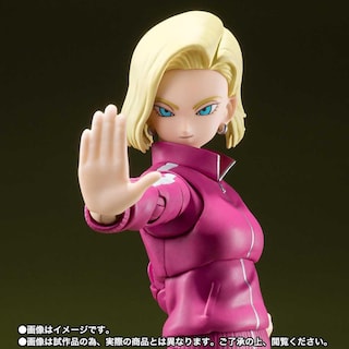Foto 4 | Figura De Acción Bandai S.h.figuarts Dragon Ball Super Android 18 - Venta Internacional.