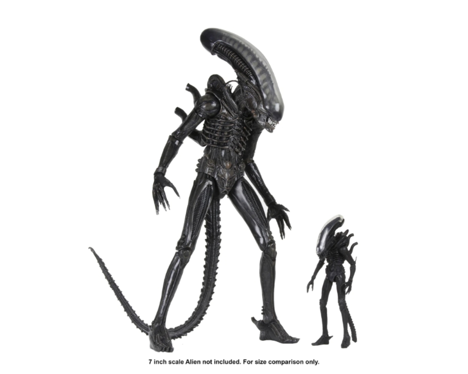 Foto 4 pulgar | Figura de Accion Neca: Alien 40 Aniversario Big Chap Escala 1/4