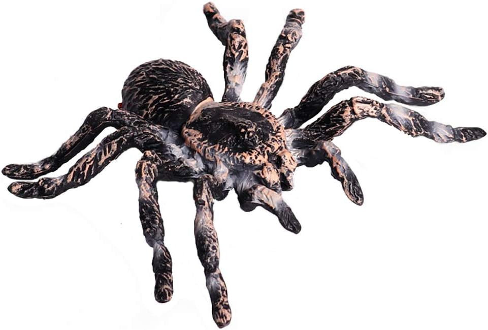 Foto 2 pulgar | Venta Internacional - Figuras De Animales Con Forma De Araña Modelo De Acción De Insecto Realista Regalo Para Niños