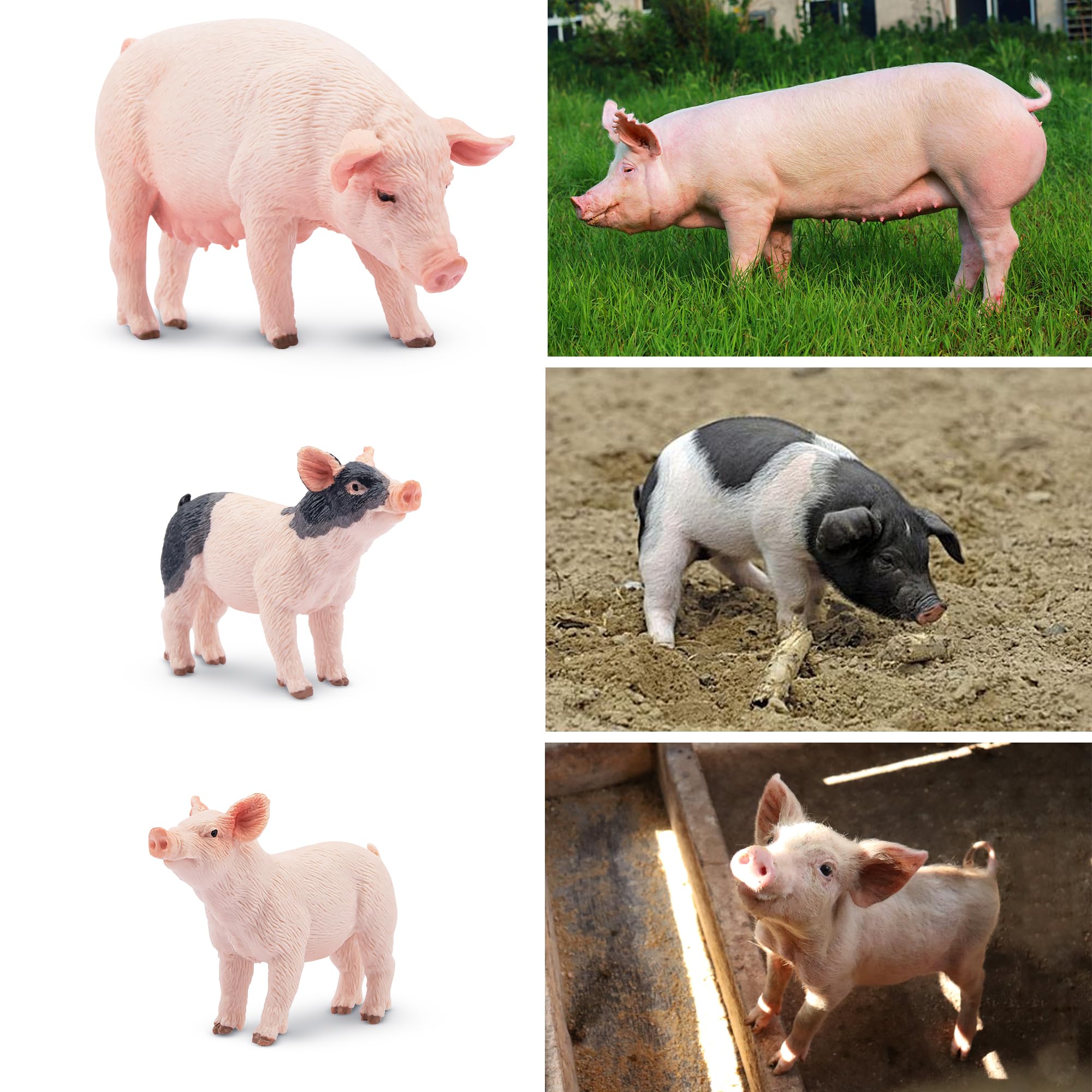 Foto 7 pulgar | Juego De Figuras Toymany Pig Farm Animal, 8 Piezas, Para Niños Pequeños - Venta Internacional.