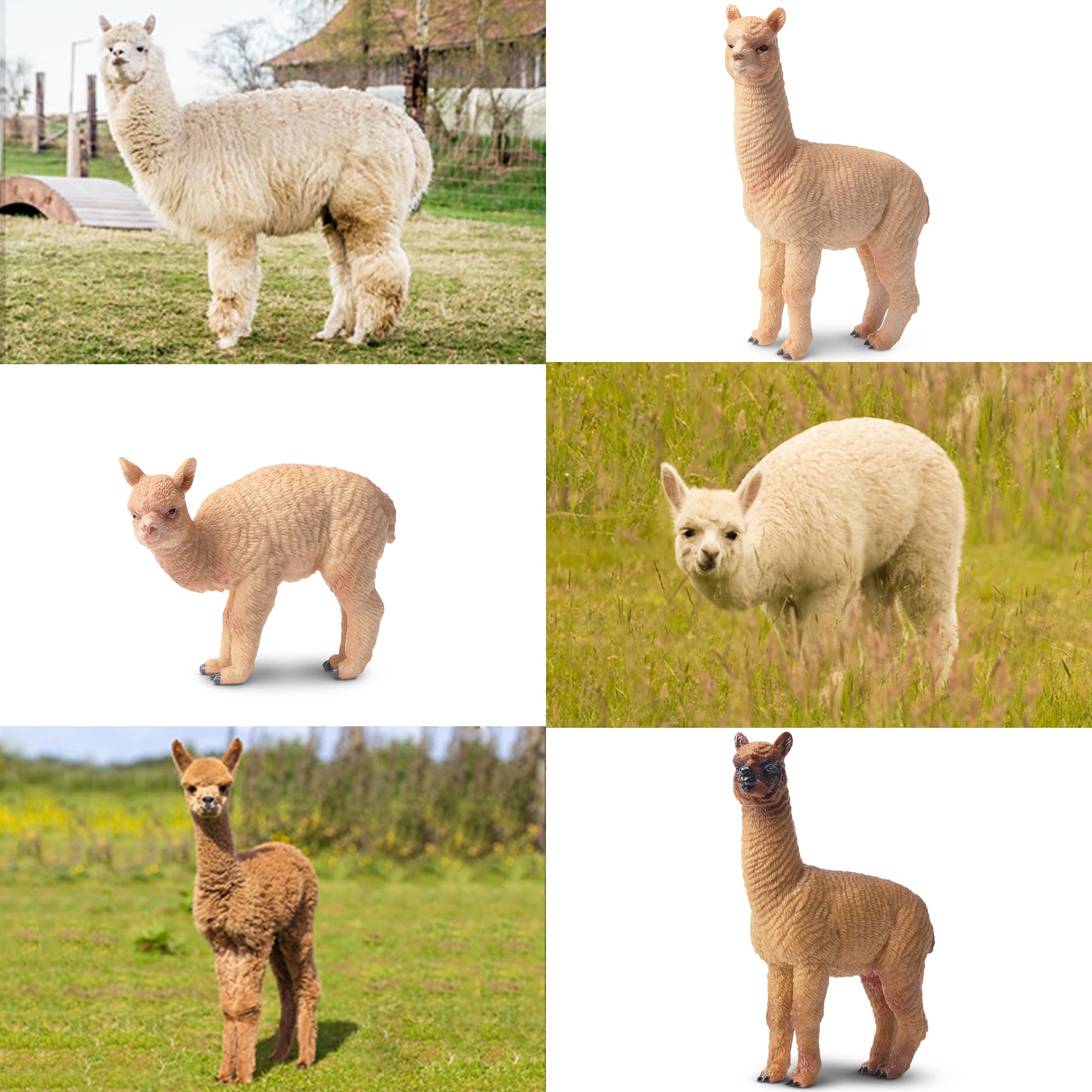 Foto 8 pulgar | Figuras De Alpaca Toymany, De Plástico Realista, 8 Unidades, Para Niños - Venta Internacional.