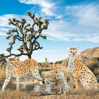 Foto 4 | Animales de Juguete Terra en Miniatura - Venta Internacional