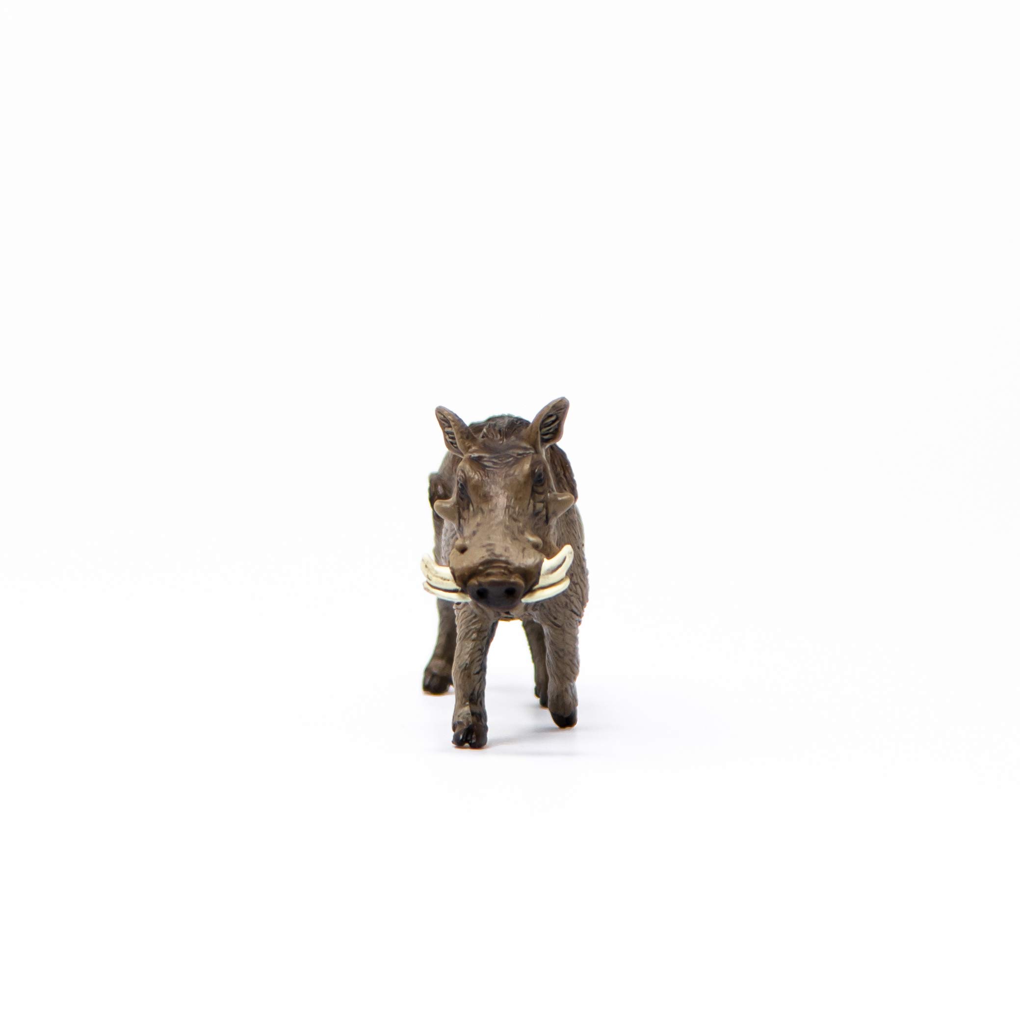 Foto 4 pulgar | Figura Schleich de Jabalí-Venta Internacional