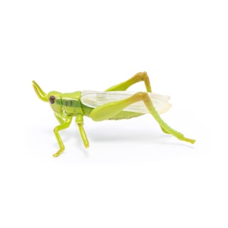 Foto 1 | Figura Papo Wild Animal Kingdom Grasshopper 50268- Venta Internacional