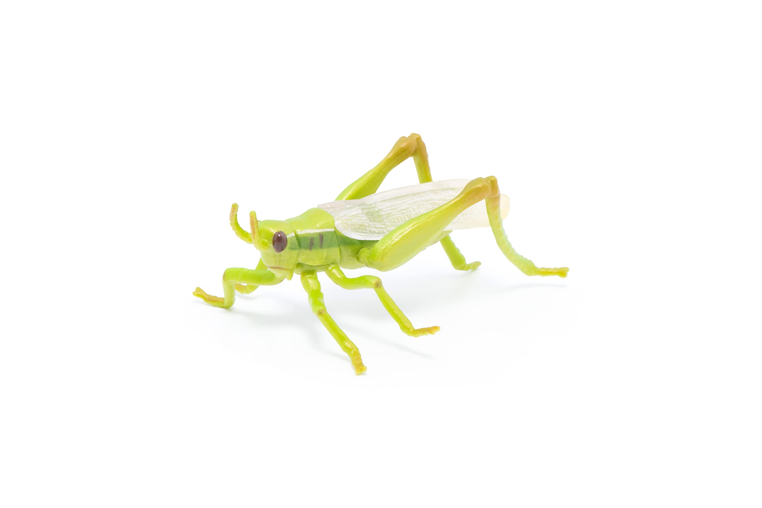 Foto 3 pulgar | Figura Papo Wild Animal Kingdom Grasshopper 50268- Venta Internacional
