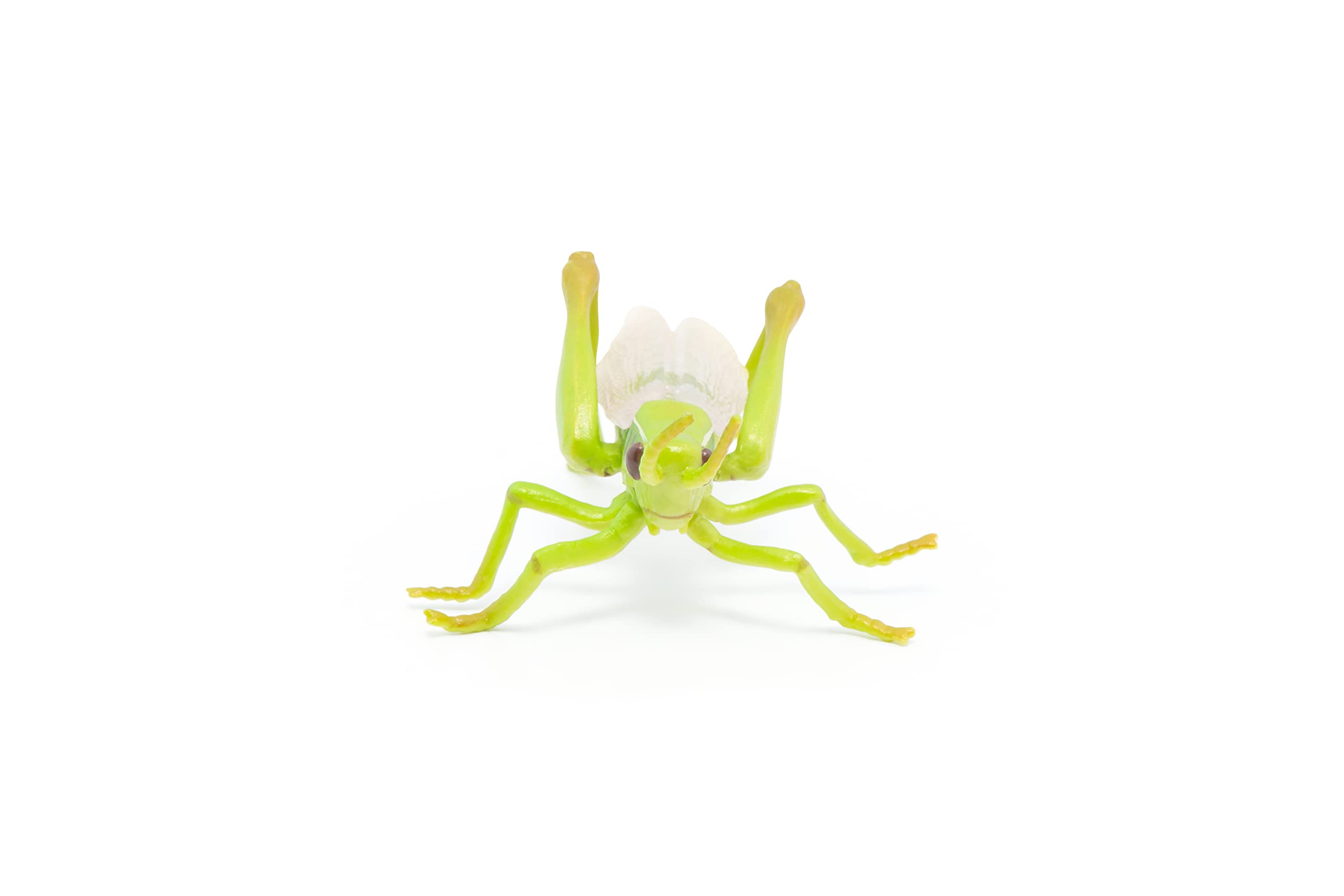 Foto 4 pulgar | Figura Papo Wild Animal Kingdom Grasshopper 50268- Venta Internacional